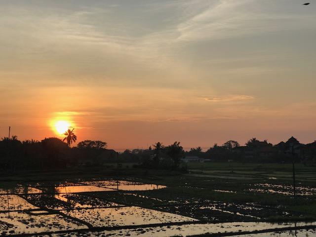Heavenly View Villa Ubud  Ngoại thất bức ảnh
