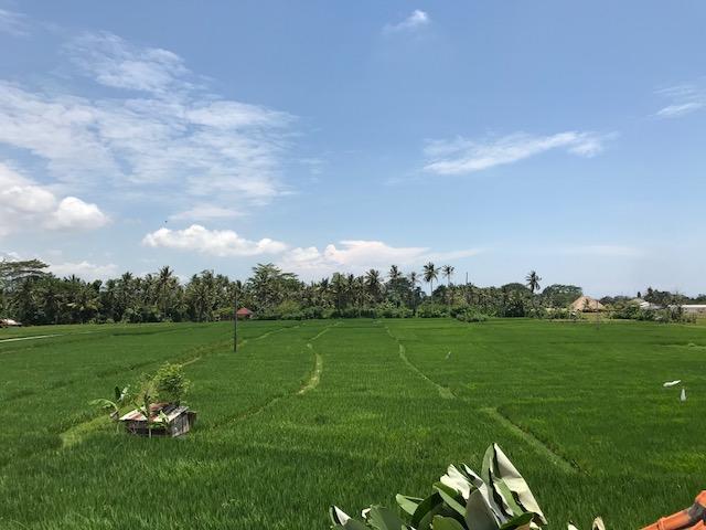 Heavenly View Villa Ubud  Ngoại thất bức ảnh