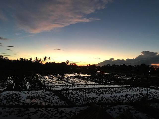 Heavenly View Villa Ubud  Ngoại thất bức ảnh