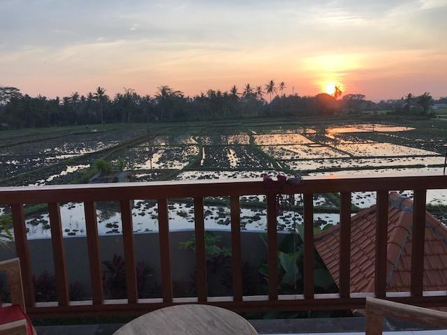 Heavenly View Villa Ubud  Ngoại thất bức ảnh