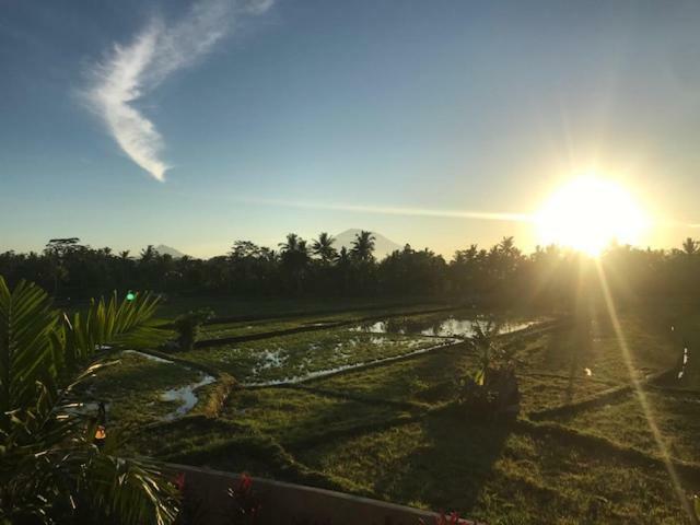 Heavenly View Villa Ubud  Ngoại thất bức ảnh