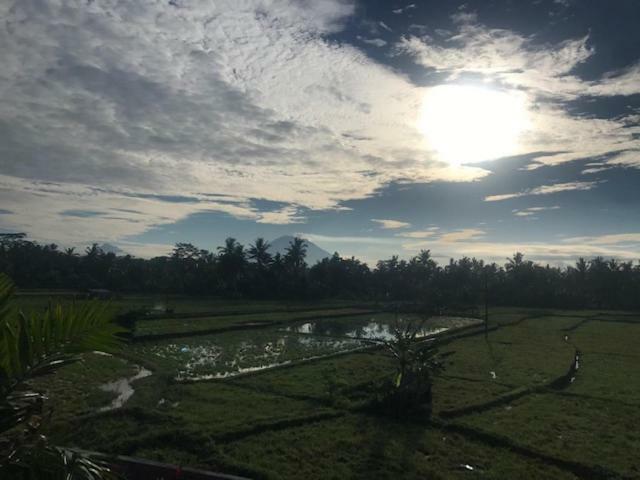 Heavenly View Villa Ubud  Ngoại thất bức ảnh